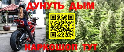 спиды Заволжье
