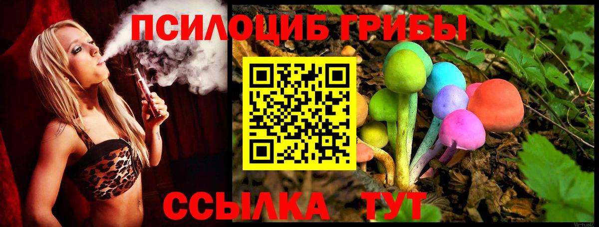Галлюциногенные грибы Cubensis Ленинск-Кузнецкий