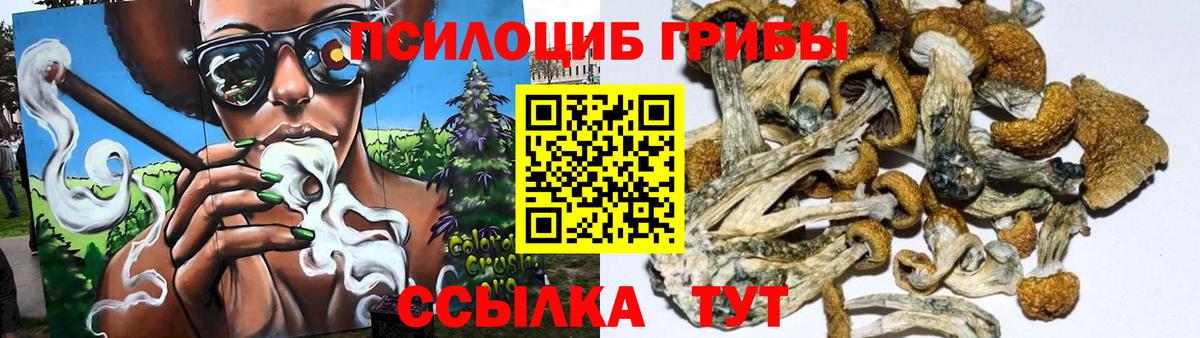 Галлюциногенные грибы мицелий  Вход с VPN  Ленинск-Кузнецкий 